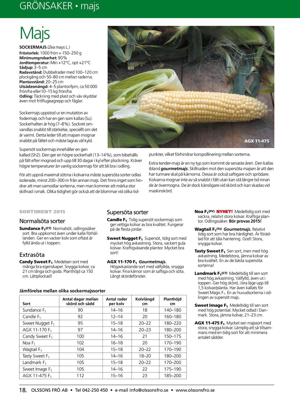 Plantavstånd: 20 25 cm Utsädesmängd: 4 5 plantor/lpm, ca 50 000 frön/ha eller10 15 kg frön/ha Odling: Täckning med plast och väv skyddar även mot fritflugeagrepp och fåglar.