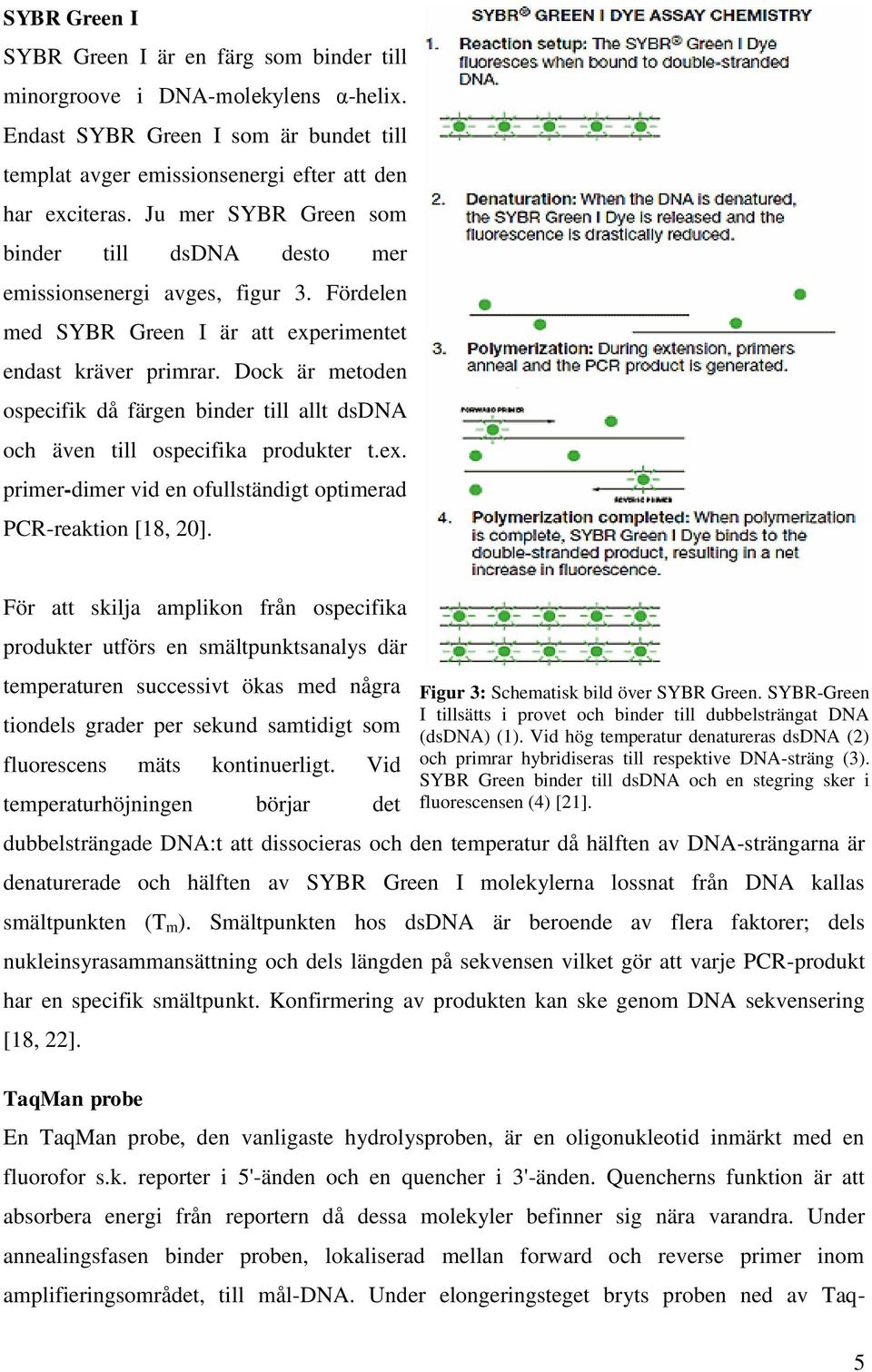 Dock är metoden ospecifik då färgen binder till allt dsdna och även till ospecifika produkter t.ex. primer-dimer vid en ofullständigt optimerad PCR-reaktion [18, 20].