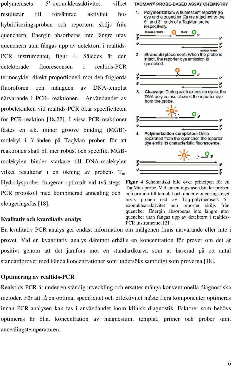 Således är den detekterade fluorescensen i realtids-pcr termocykler direkt proportionell mot den frigjorda fluoroforen och mängden av DNA-templat närvarande i PCR- reaktionen.