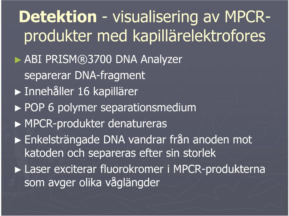 MPCR-produkter denatureras Enkelsträngade DNA vandrar från anoden mot katoden och