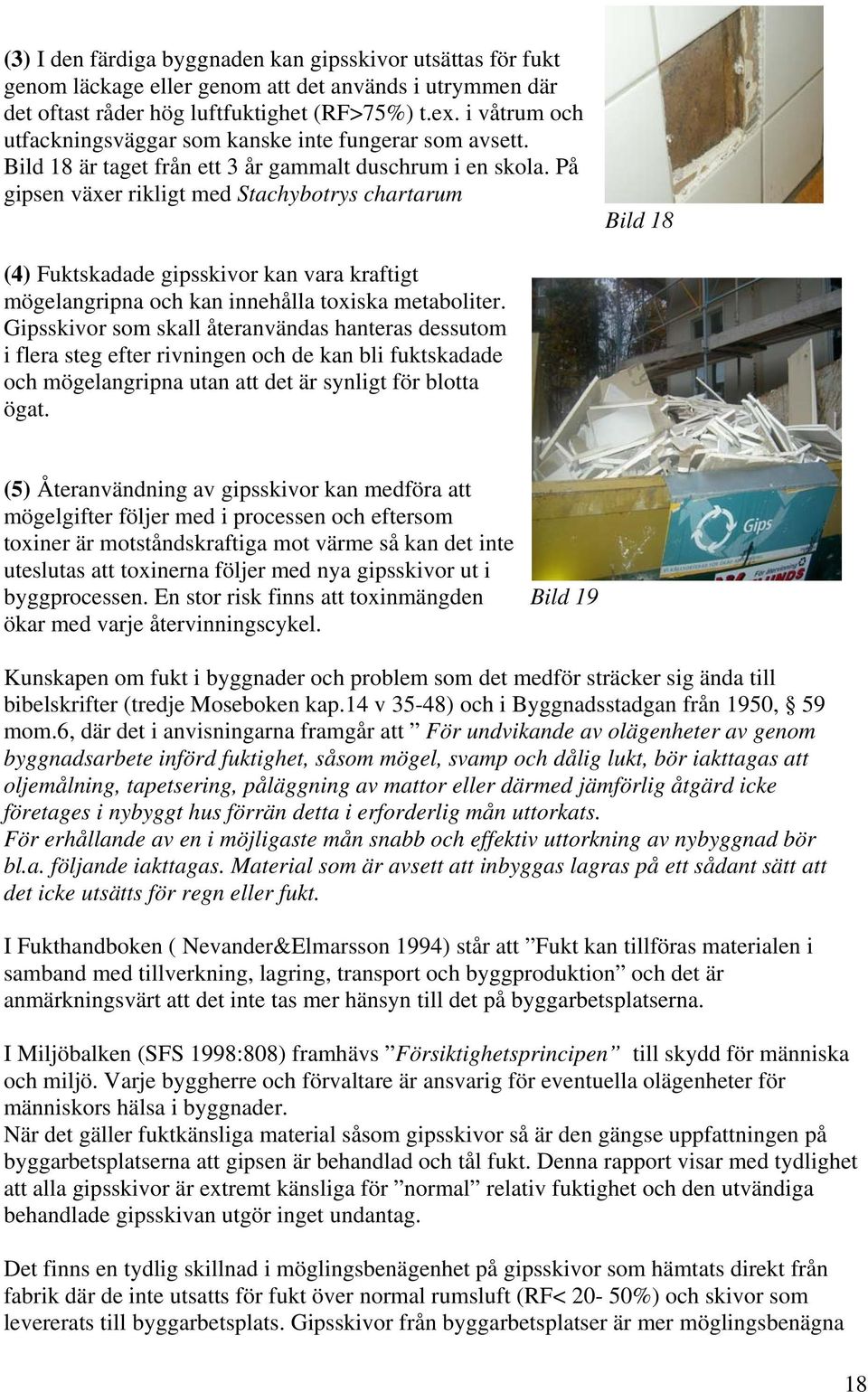 På gipsen växer rikligt med Stachybotrys chartarum Bild 18 (4) Fuktskadade gipsskivor kan vara kraftigt mögelangripna och kan innehålla toxiska metaboliter.