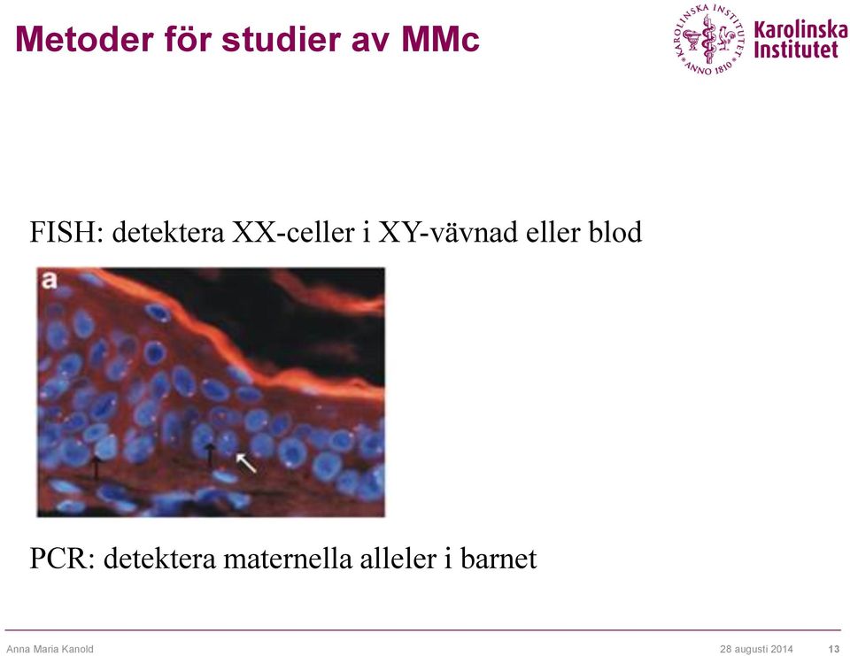 blod PCR: detektera maternella alleler