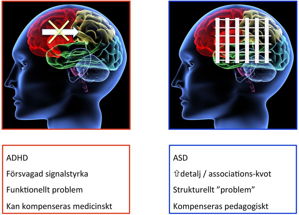 medicinskt ASD ñ detalj /