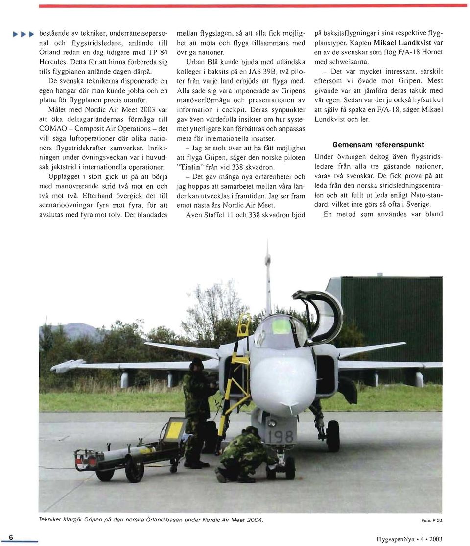 Mälet med Nordic Air Meet 2003 var att öka de\tagarländernas förmåga till COMAO - Composit Air Operations - det vill säga luftoperationer där olika nationers flygstridskrafter samverkar.