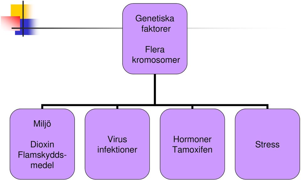 Flamskyddsmedel Virus