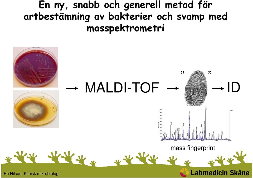 med masspektrometri MALDI-TOF ID mass