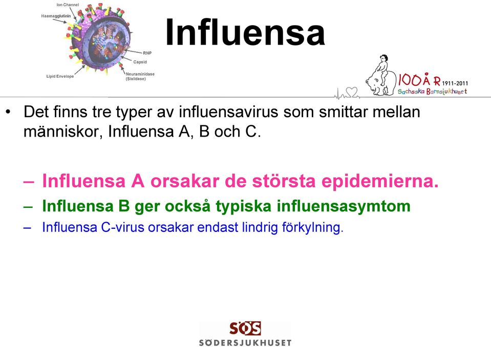 Influensa A orsakar de största epidemierna.