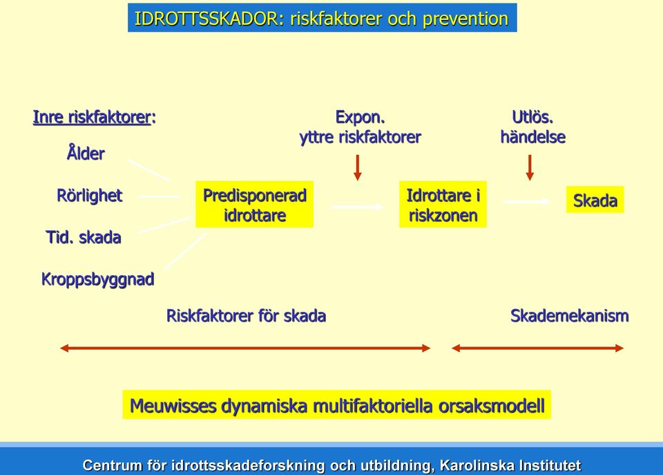 skada Predisponerad idrottare Idrottare i riskzonen Skada