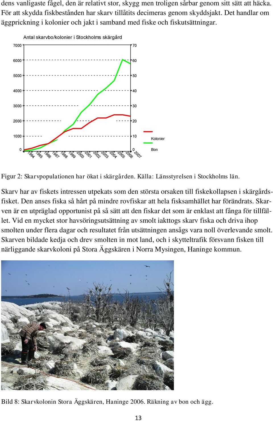 Antal skarvbo/kolonier i Stockholms skärgård 7000 70 6000 60 5000 50 4000 40 3000 30 2000 20 1000 10 Kolonier 0 2007 2006 0 Bon 2005 2004 2003 2002 2001 2000 1999 1998 1997 1996 1995 1994 Figur 2: