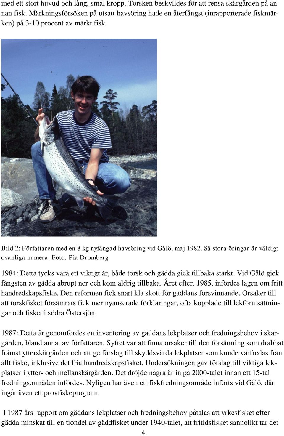 Så stora öringar är väldigt ovanliga numera. Foto: Pia Dromberg 1984: Detta tycks vara ett viktigt år, både torsk och gädda gick tillbaka starkt.