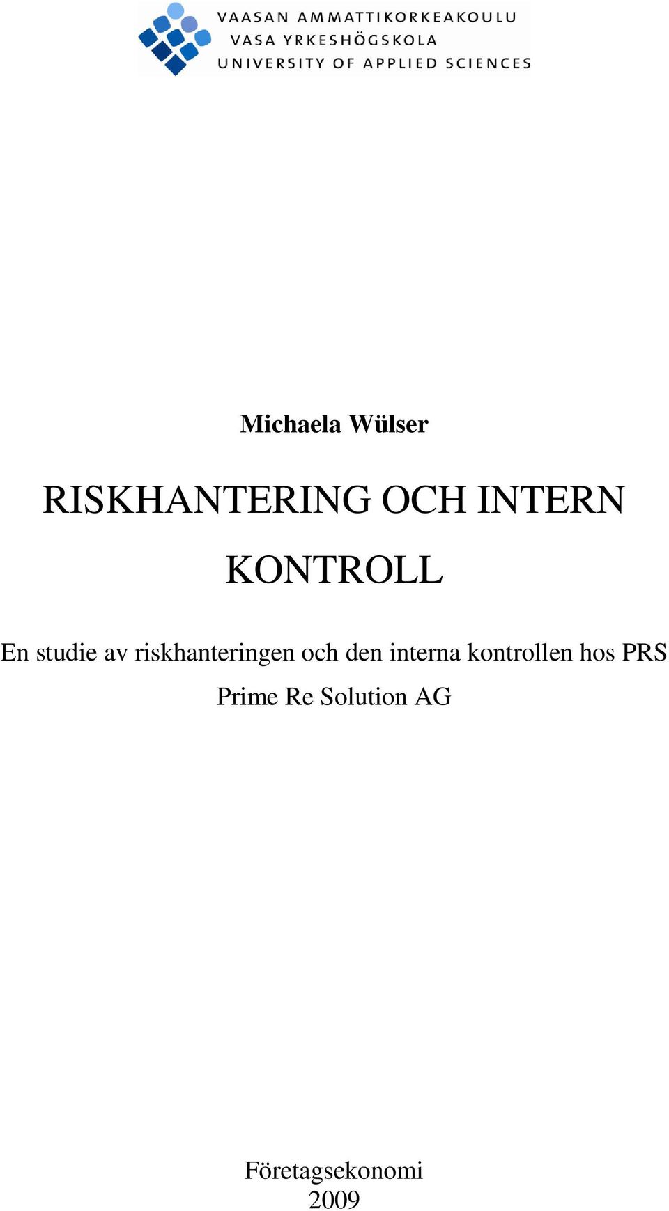 riskhanteringen och den interna