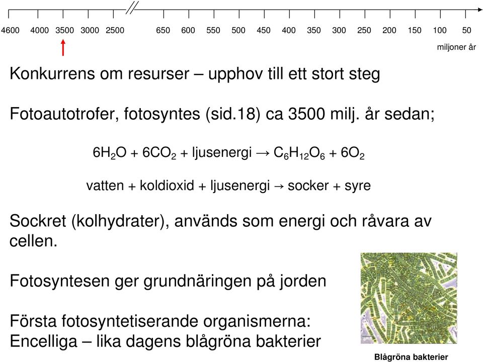 syre Sockret (kolhydrater), används som energi och råvara av cellen.