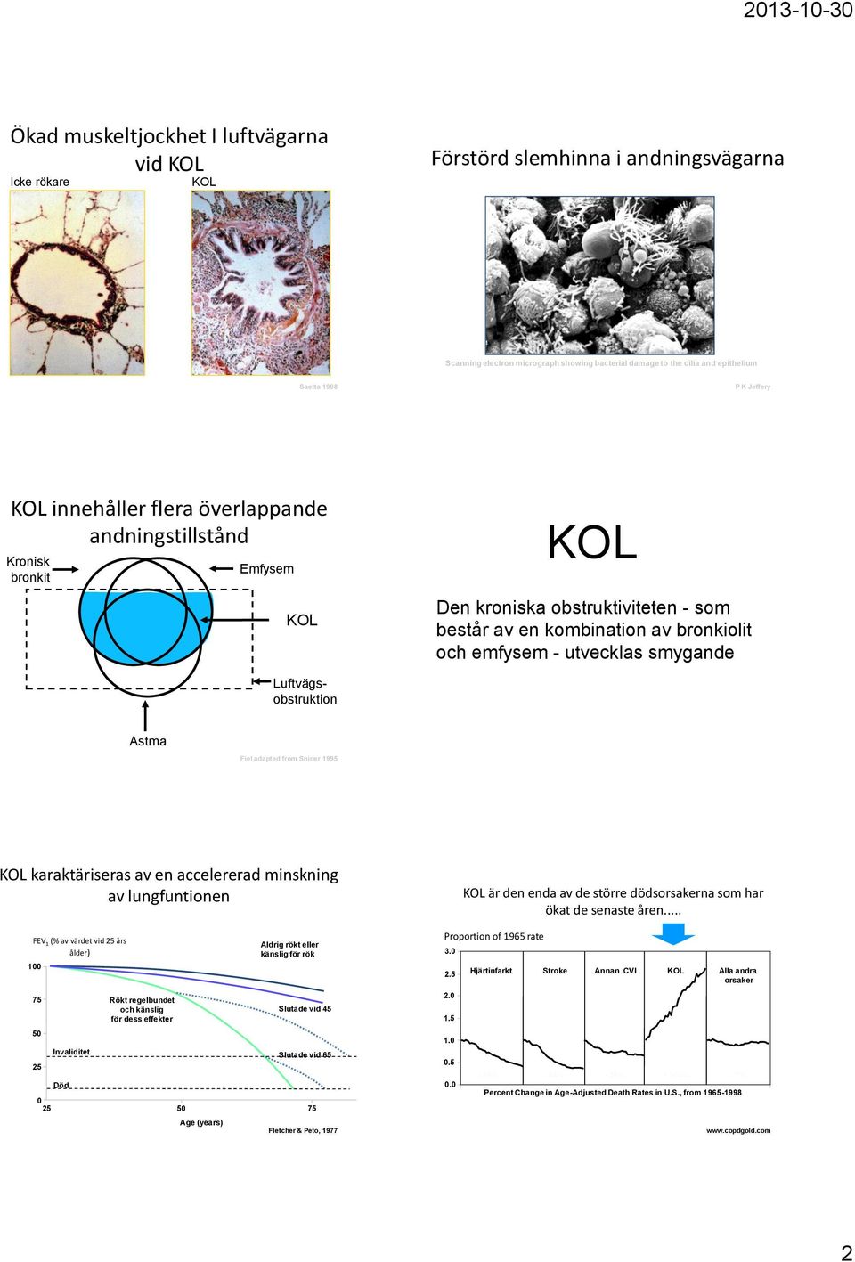 Astma Fiel adapted from Snider 1995 karaktäriseras av en accelererad minskning av lungfuntionen FEV 1 (% av värdet vid 25 års ålder) 100 75 50 25 Invaliditet Död Rökt regelbundet och känslig för dess