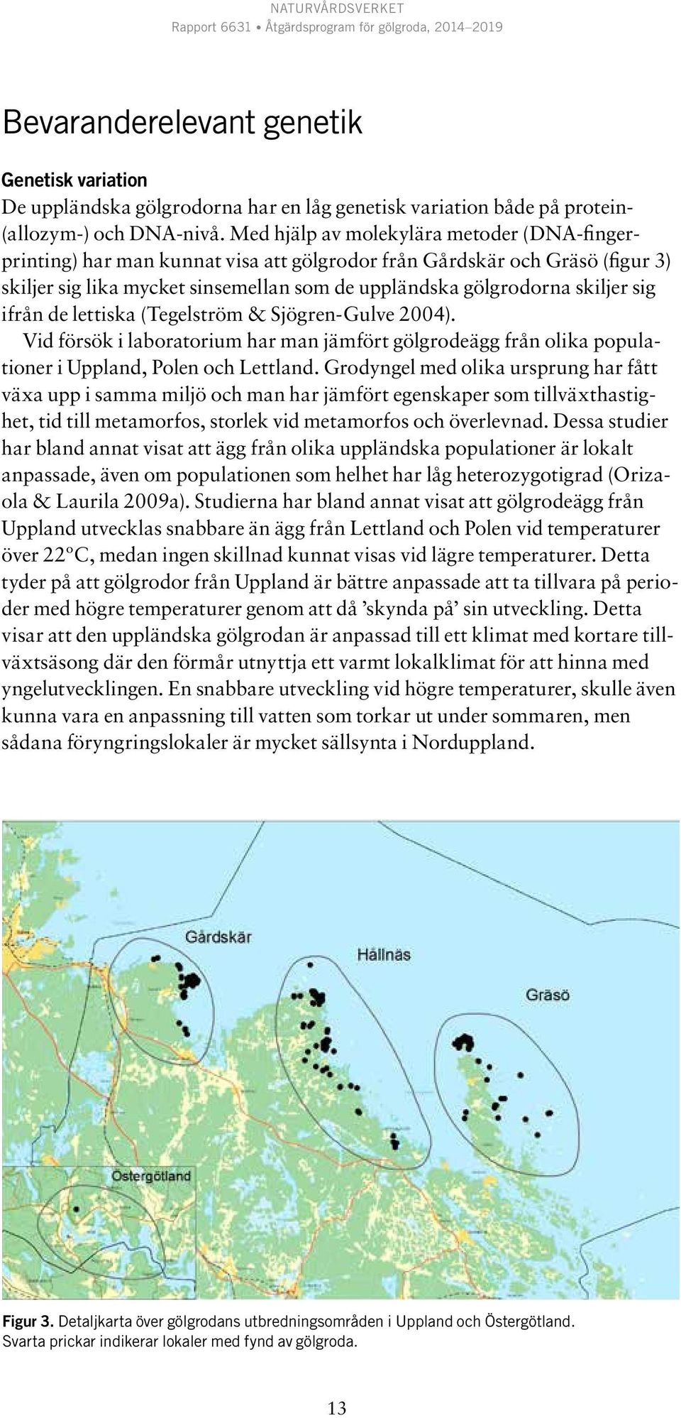 ifrån de lettiska (Tegelström & Sjögren-Gulve 2004). Vid försök i laboratorium har man jämfört gölgrodeägg från olika populationer i Uppland, Polen och Lettland.