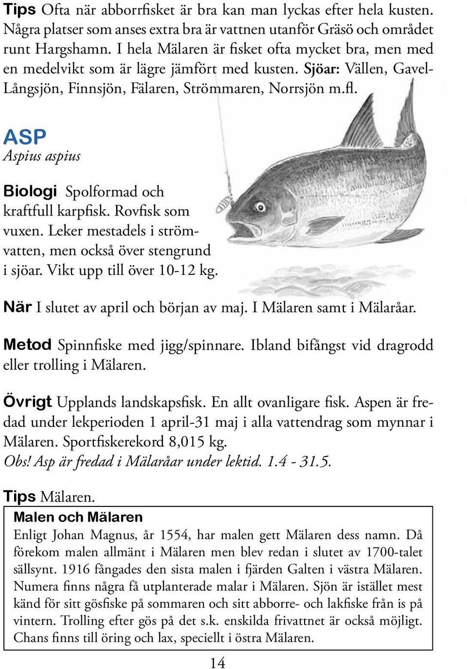 ASP Aspius aspius Biologi Spolformad och kraftfull karpfisk. Rovfisk som vuxen. Leker mestadels i strömvatten, men också över stengrund i sjöar. Vikt upp till över 10-12 kg.