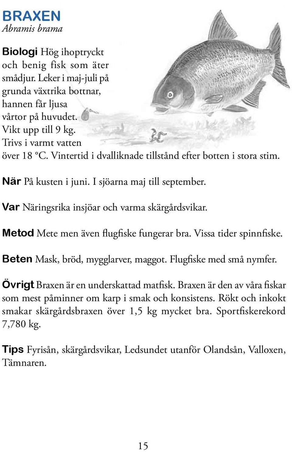 Metod Mete men även flugfiske fungerar bra. Vissa tider spinnfiske. Beten Mask, bröd, mygglarver, maggot. Flugfiske med små nymfer. Övrigt Braxen är en underskattad matfisk.