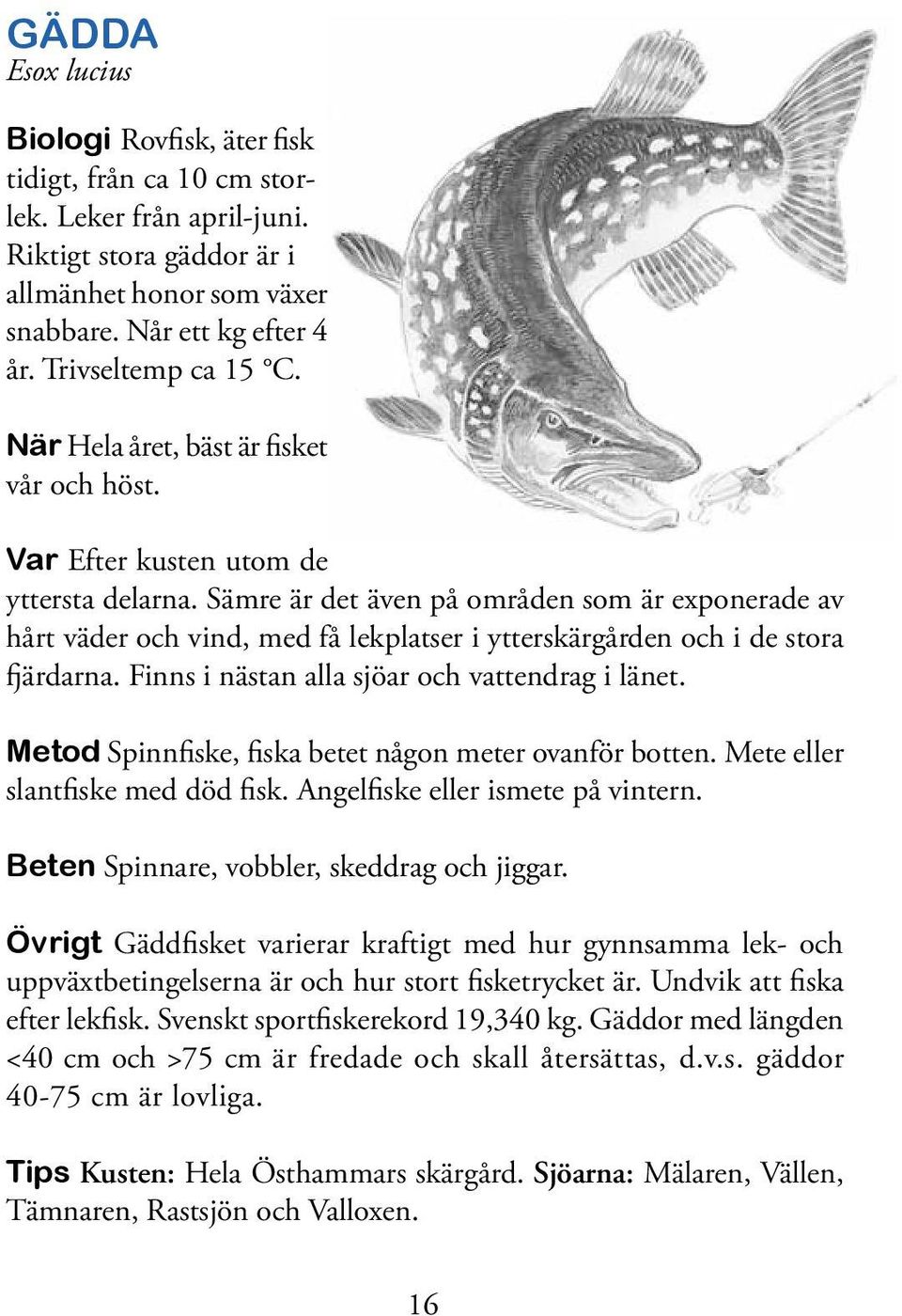 Sämre är det även på områden som är exponerade av hårt väder och vind, med få lekplatser i ytterskärgården och i de stora fjärdarna. Finns i nästan alla sjöar och vattendrag i länet.