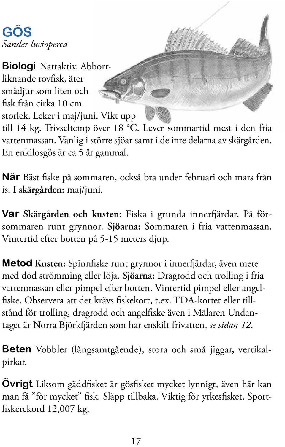 När Bäst fiske på sommaren, också bra under februari och mars från is. I skärgården: maj/juni. Var Skärgården och kusten: Fiska i grunda innerfjärdar. På försommaren runt grynnor.