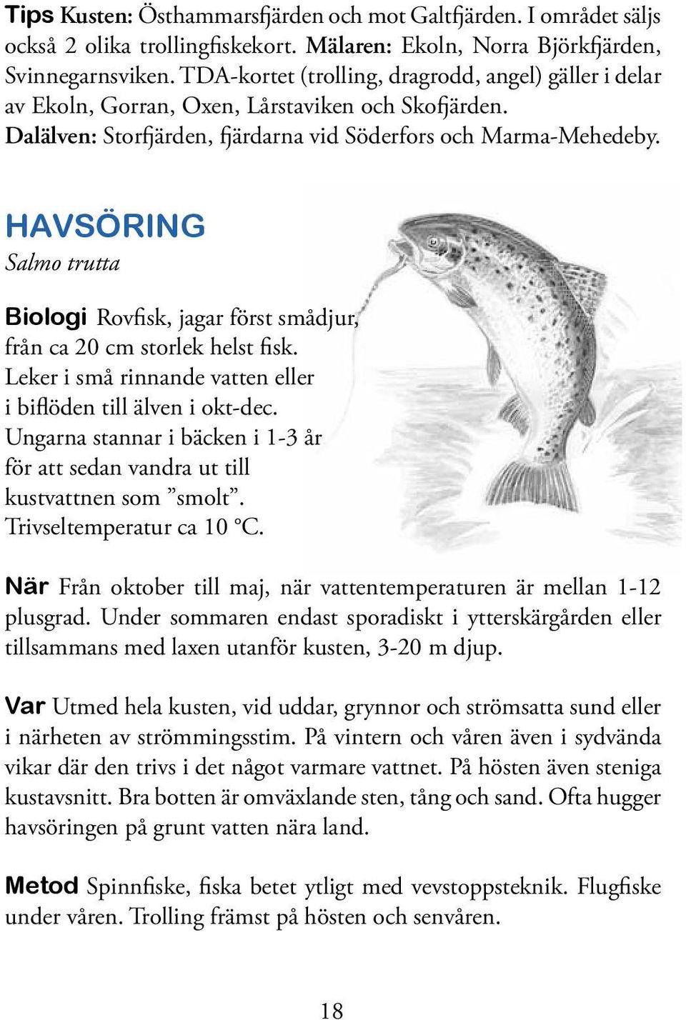 Havsöring Salmo trutta Biologi Rovfisk, jagar först smådjur, från ca 20 cm storlek helst fisk. Leker i små rinnande vatten eller i biflöden till älven i okt-dec.