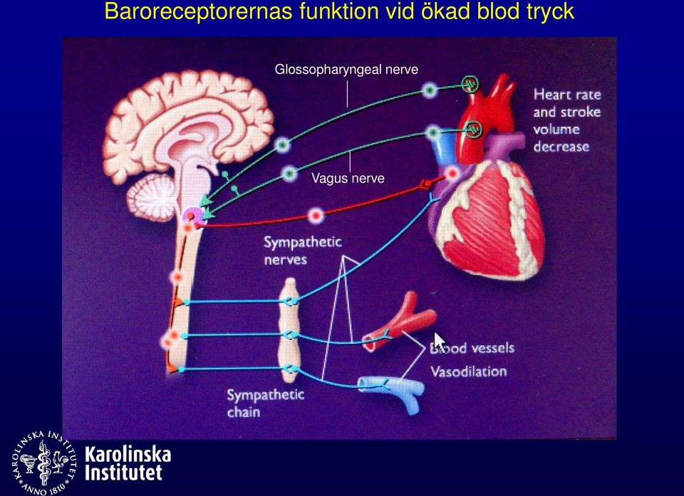 blod tryck