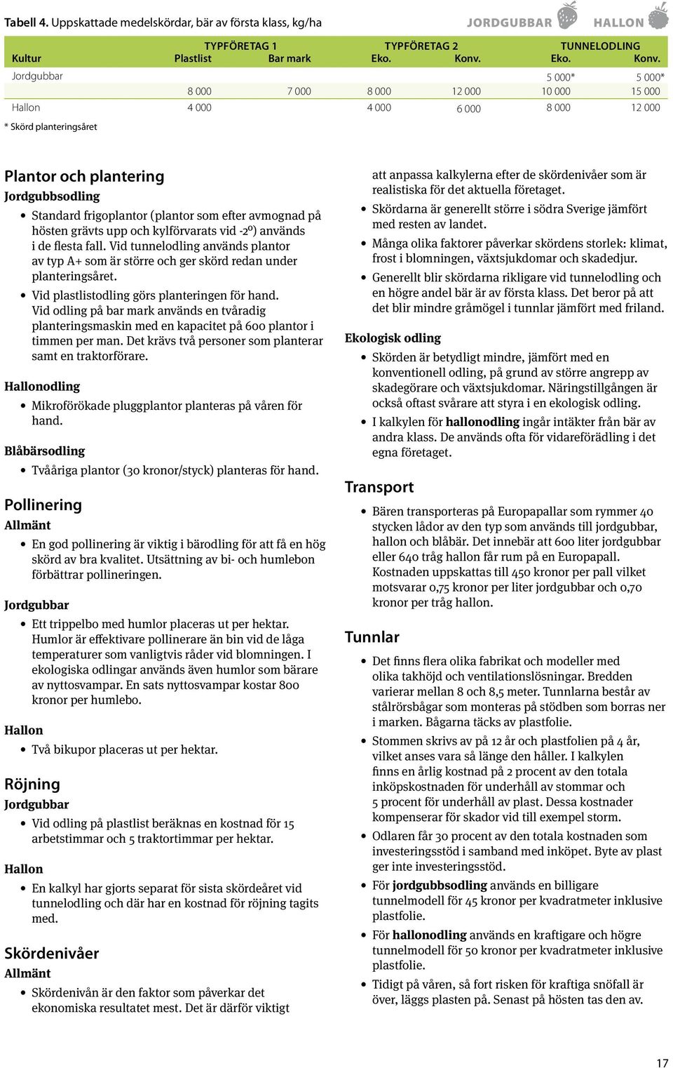 Jordgubbar 5 000* 5 000* 8 000 7 000 8 000 12 000 10 000 15 000 Hallon 4 000 4 000 6 000 8 000 12 000 * Skörd planteringsåret Plantor och plantering Jordgubbsodling Standard frigoplantor (plantor som