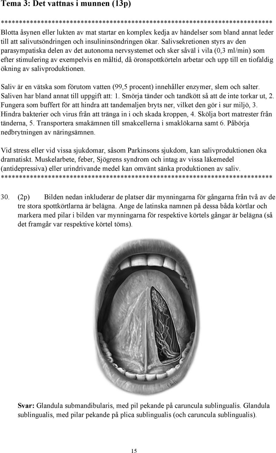 Salivsekretionen styrs av den parasympatiska delen av det autonoma nervsystemet och sker såväl i vila (0,3 ml/min) som efter stimulering av exempelvis en måltid, då öronspottkörteln arbetar och upp