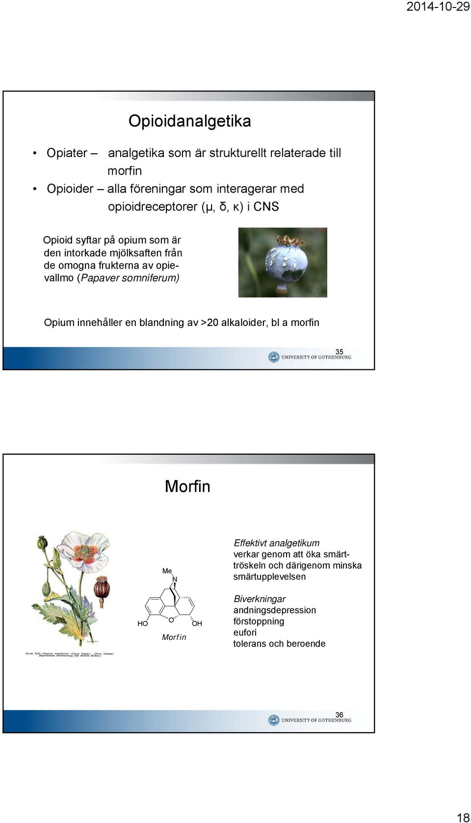 (Papaver somniferum) pium innehåller en blandning av >20 alkaloider, bl a morfin 35 Morfin Me Effektivt analgetikum verkar genom