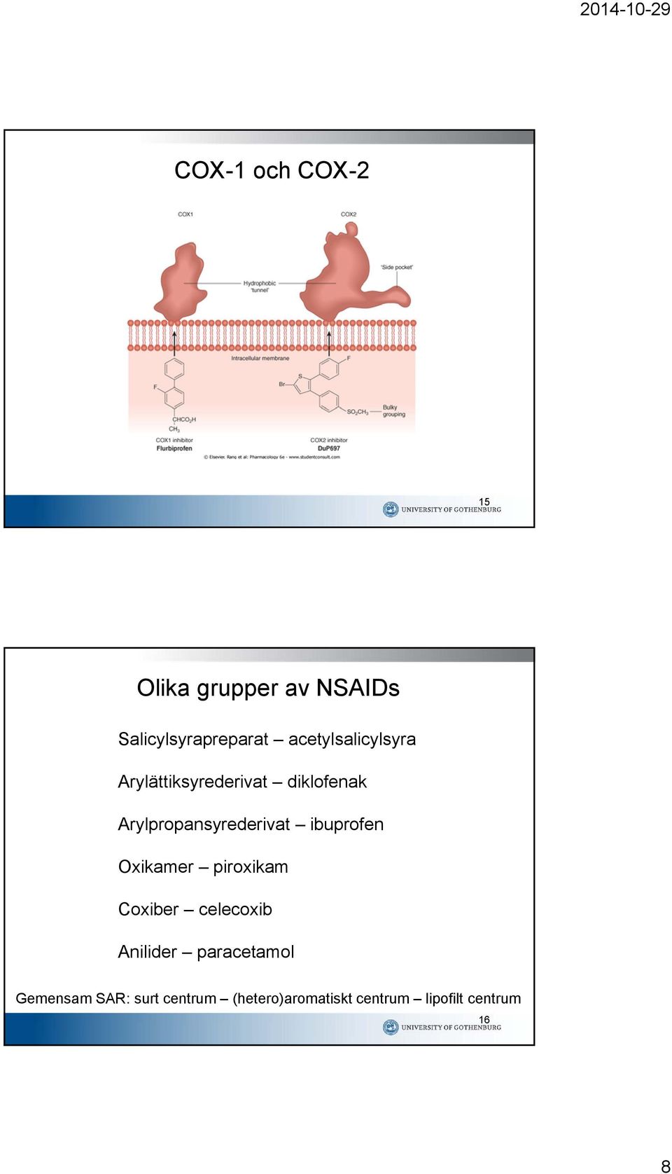 Arylpropansyrederivat ibuprofen xikamer piroxikam Coxiber celecoxib