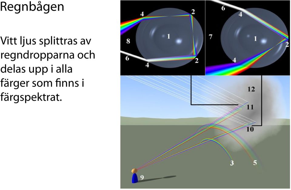 regndropparna och delas