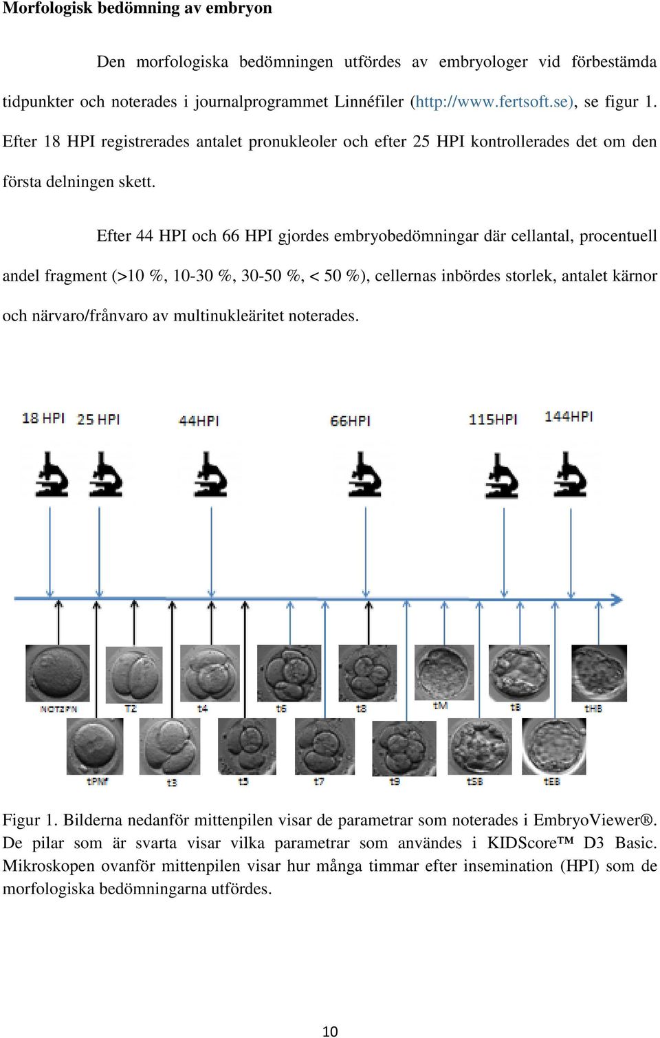 Efter 44 HPI och 66 HPI gjordes embryobedömningar där cellantal, procentuell andel fragment (>10 %, 10-30 %, 30-50 %, < 50 %), cellernas inbördes storlek, antalet kärnor och närvaro/frånvaro av