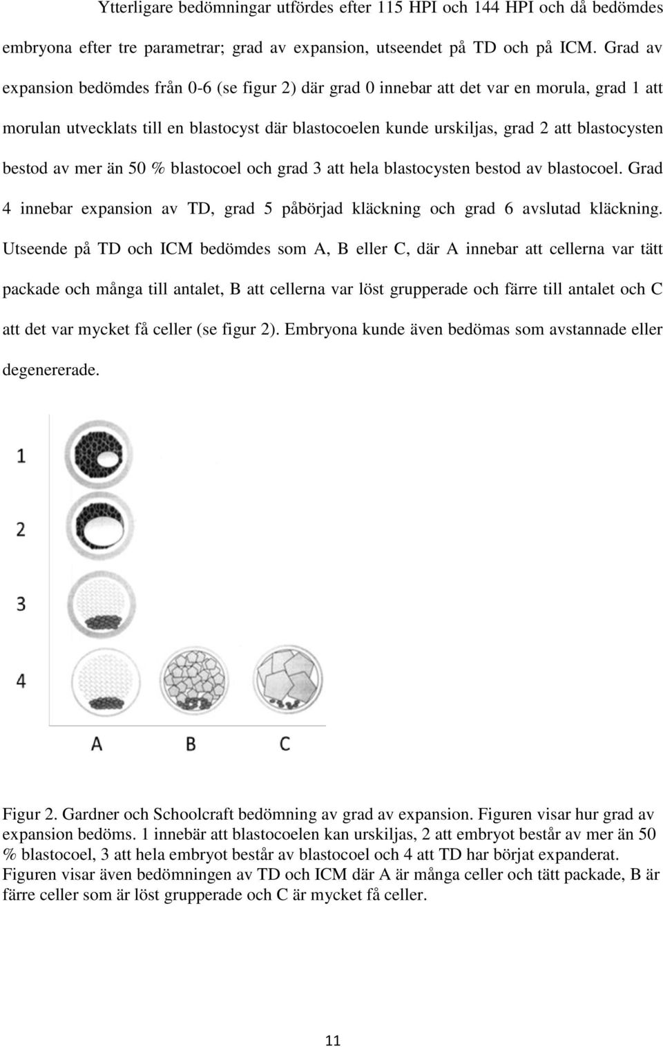 bestod av mer än 50 % blastocoel och grad 3 att hela blastocysten bestod av blastocoel. Grad 4 innebar expansion av TD, grad 5 påbörjad kläckning och grad 6 avslutad kläckning.