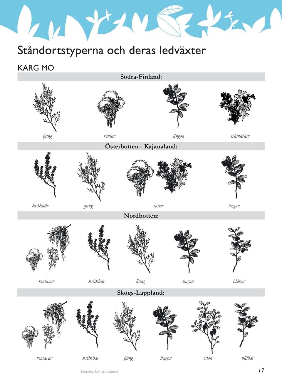 kråkbär ljung lavar lingon Nordbotten: renlavar kråkbär ljung