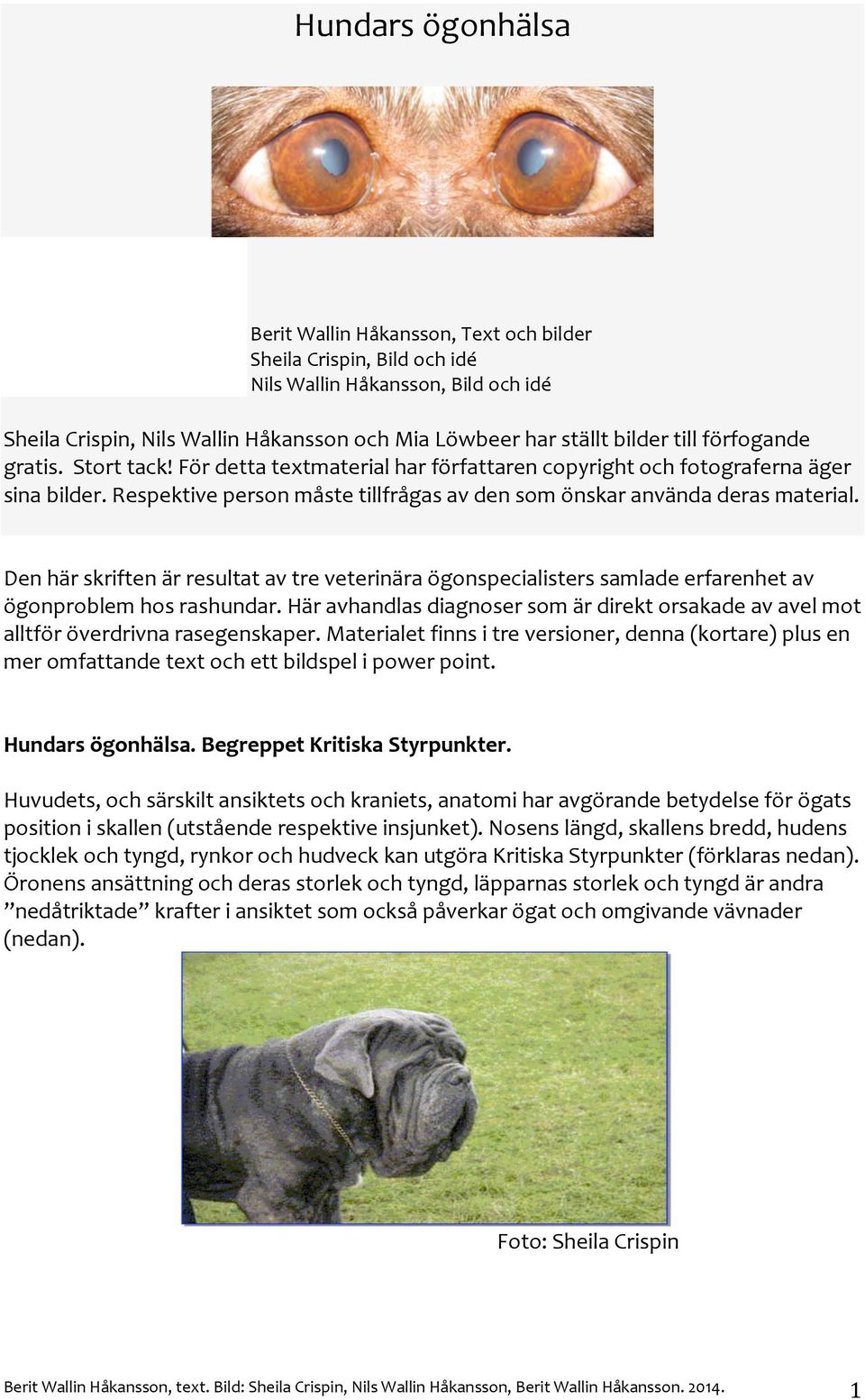 Denhärskriftenärresultatavtreveterinäraögonspecialisterssamladeerfarenhetav ögonproblemhosrashundar.häravhandlasdiagnosersomärdirektorsakadeavavelmot alltföröverdrivnarasegenskaper.