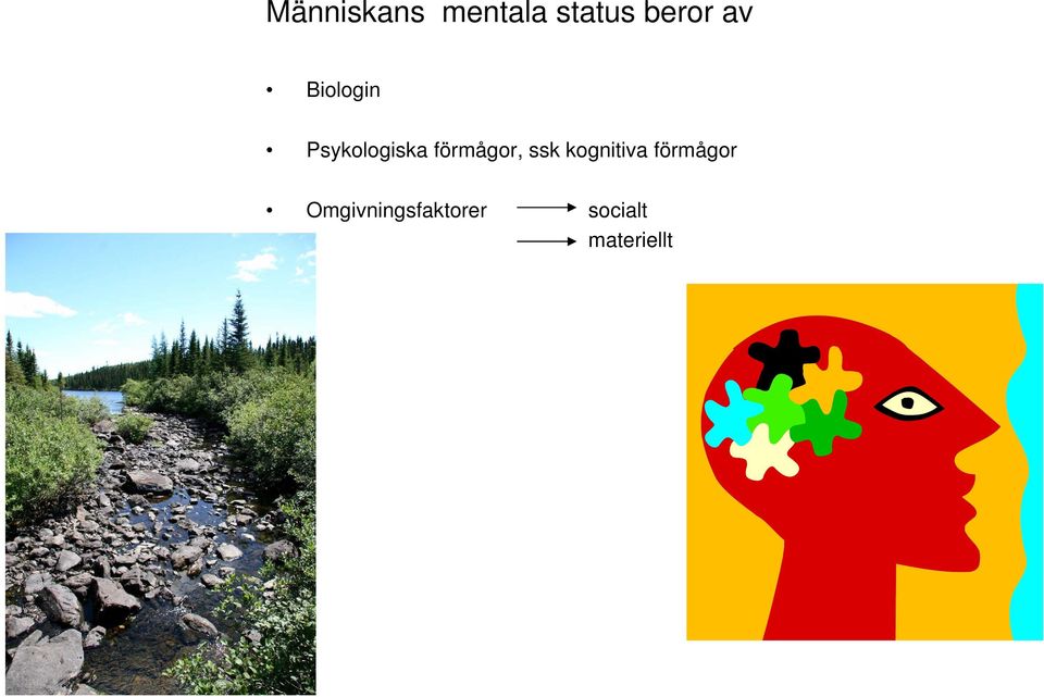 förmågor, ssk kognitiva