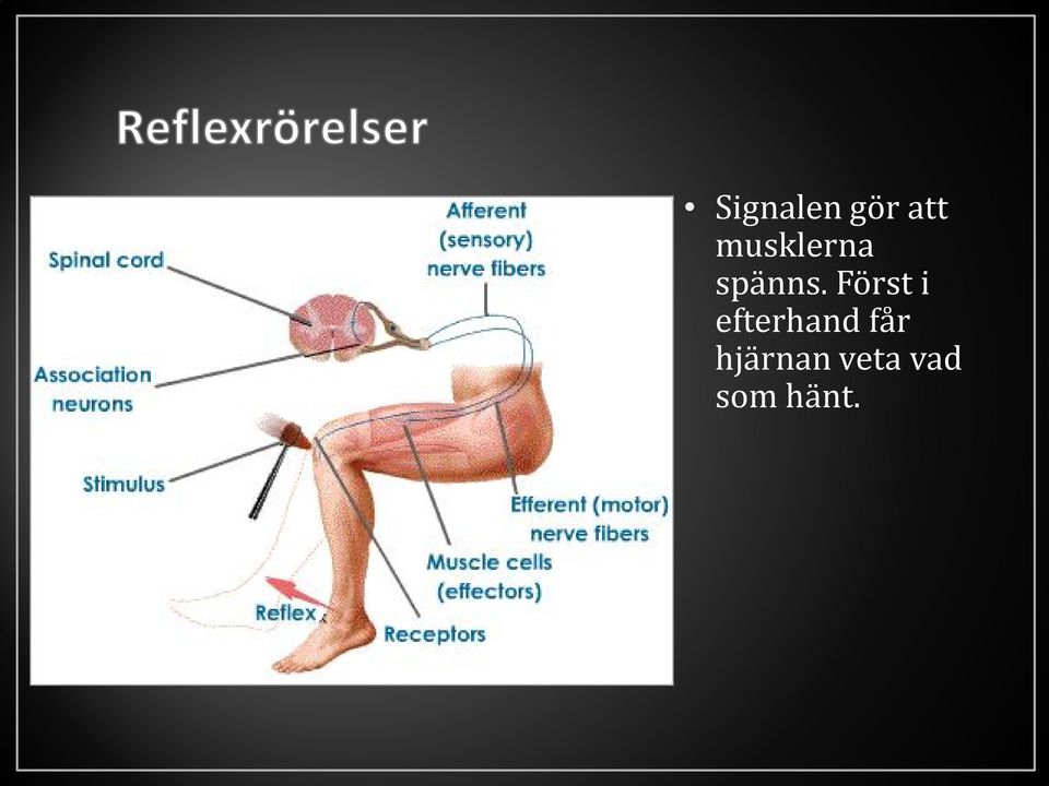 Först i efterhand