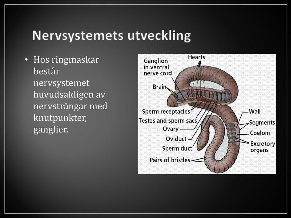 huvudsakligen av