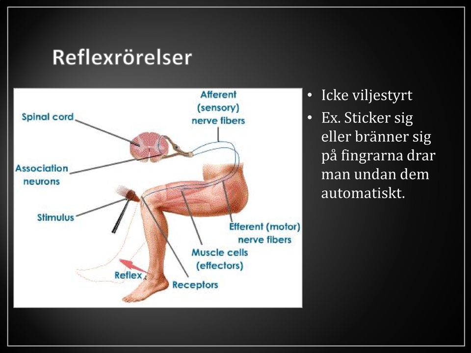 bränner sig på