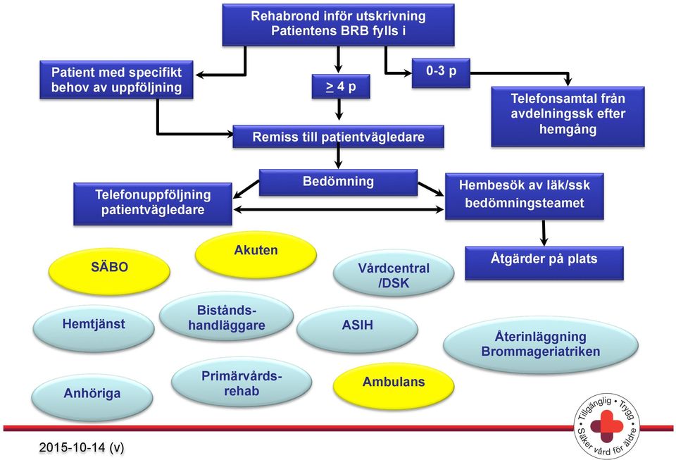 patientvägledare Bedömning Hembesök av läk/ssk bedömningsteamet SÄBO Akuten Vårdcentral /DSK Åtgärder