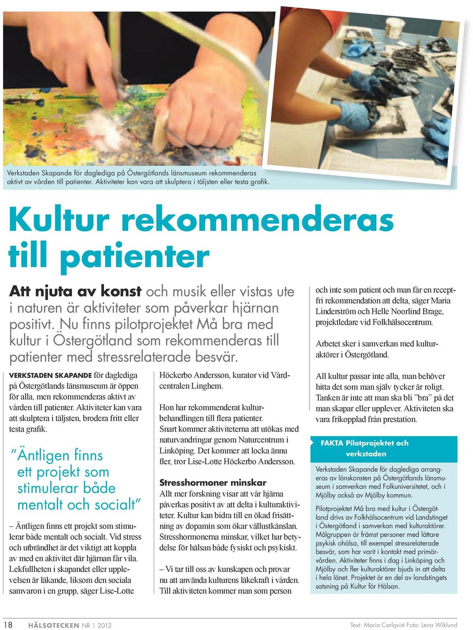 Nu finns pilotprojektet Må bra med kultur i Östergötland som rekommenderas till patienter med stressrelaterade besvär.