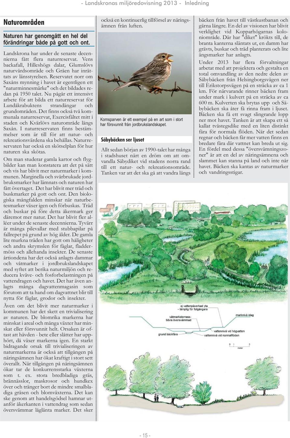 Reservatet norr om Saxåns mynning i havet är egentligen ett "naturminnesmärke" och det bildades redan på 1950 talet.