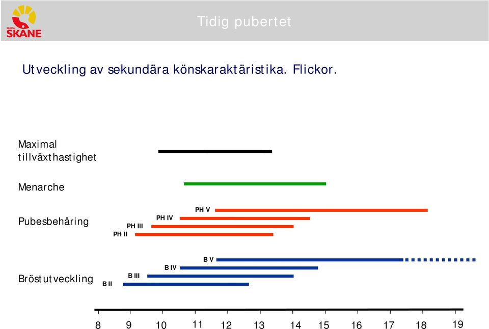 Maximal tillväxthastighet Menarche Pubesbehåring