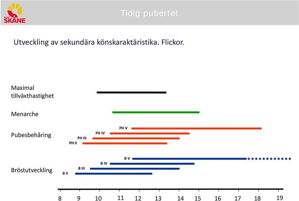 Maximal tillväxthastighet Menarche Pubesbehåring