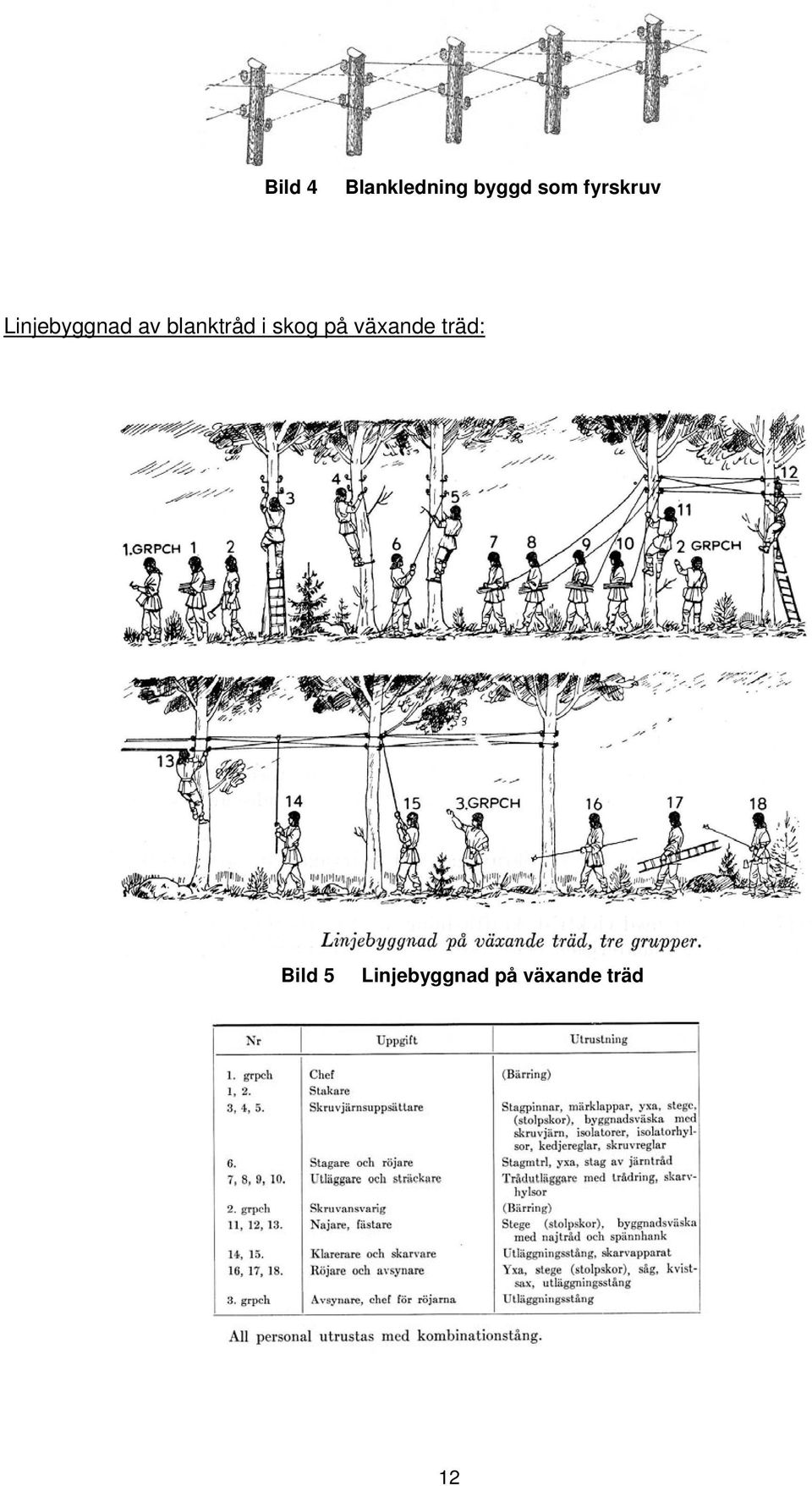 blanktråd i skog på växande