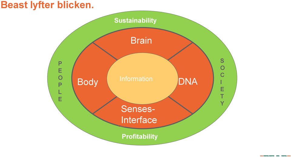 E Body Information Senses-