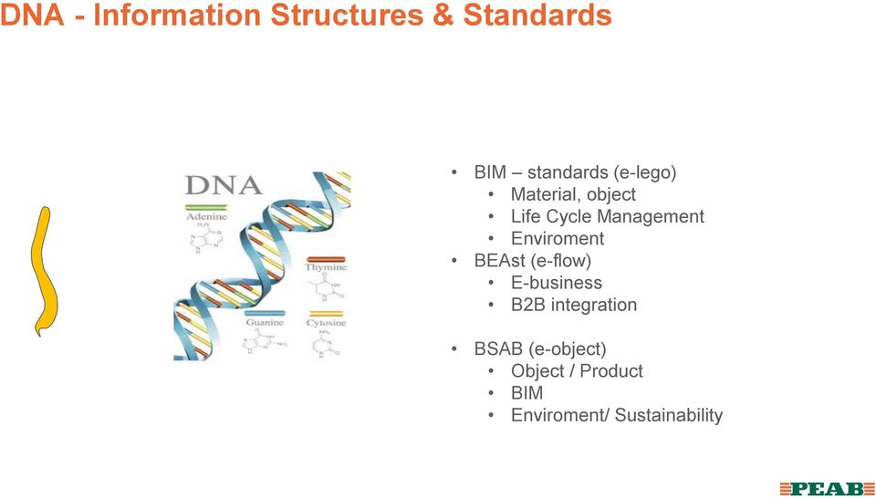 Enviroment BEAst (e-flow) E-business B2B integration