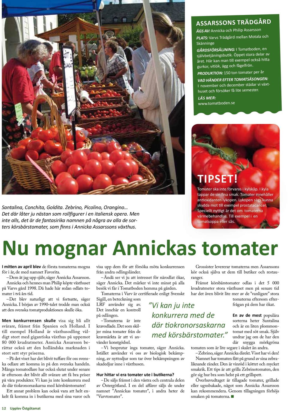 Produktion: 150 ton tomater per år Vad händer efter tomatsäsongen: I november och december städar vi växthuset och försöker få lite semester. Läs mer: www.tomatboden.se Santalina, Conchita, Goldita.
