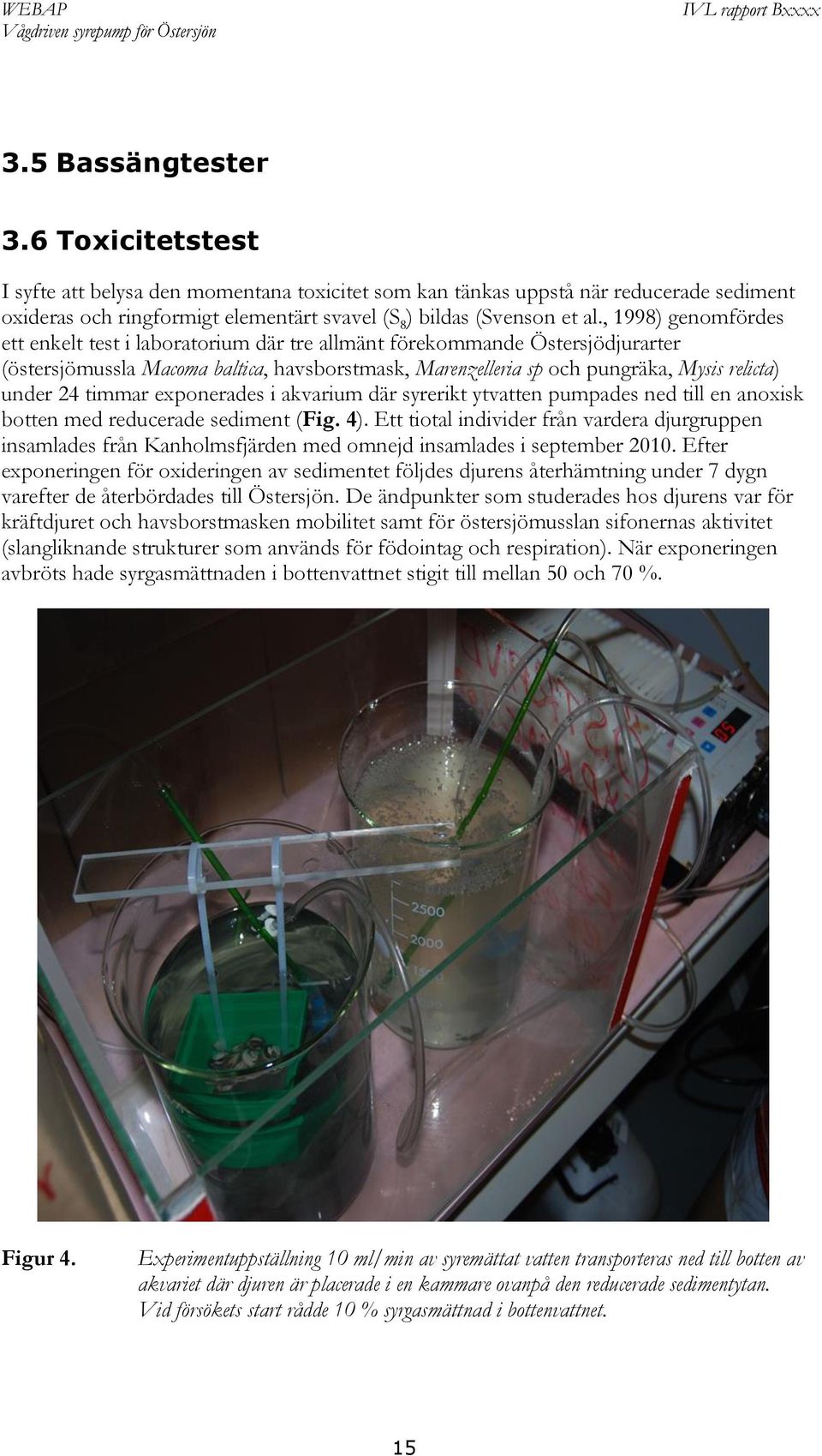 timmar exponerades i akvarium där syrerikt ytvatten pumpades ned till en anoxisk botten med reducerade sediment (Fig. 4).