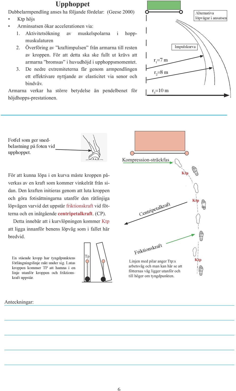 De nedre extremiteterna får genom armpendlingen ett effektivare nyttjande av elasticitet via senor och bindväv. Armarna verkar ha större betydelse än pendelbenet för höjdhopps-prestationen.