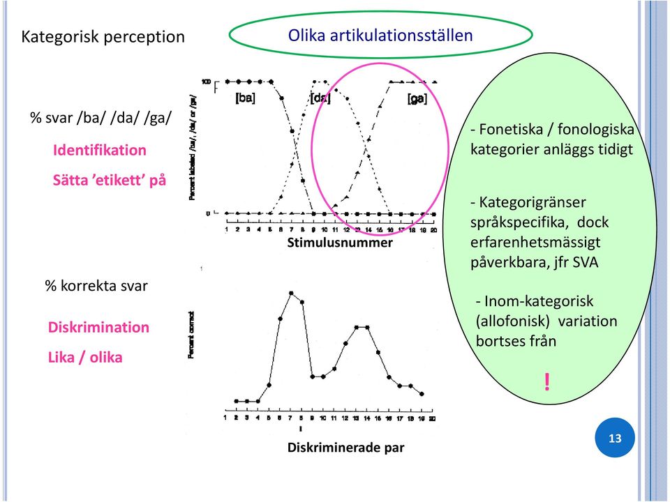 fonologiska kategorier anläggs tidigt - Kategorigränser språkspecifika, dock