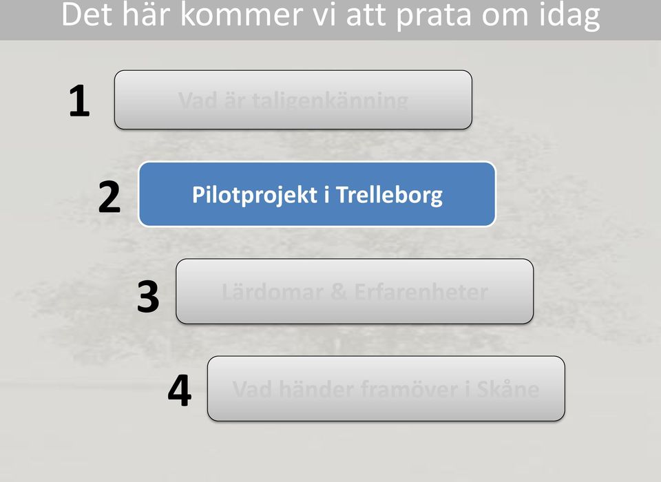 Pilotprojekt i Trelleborg 3